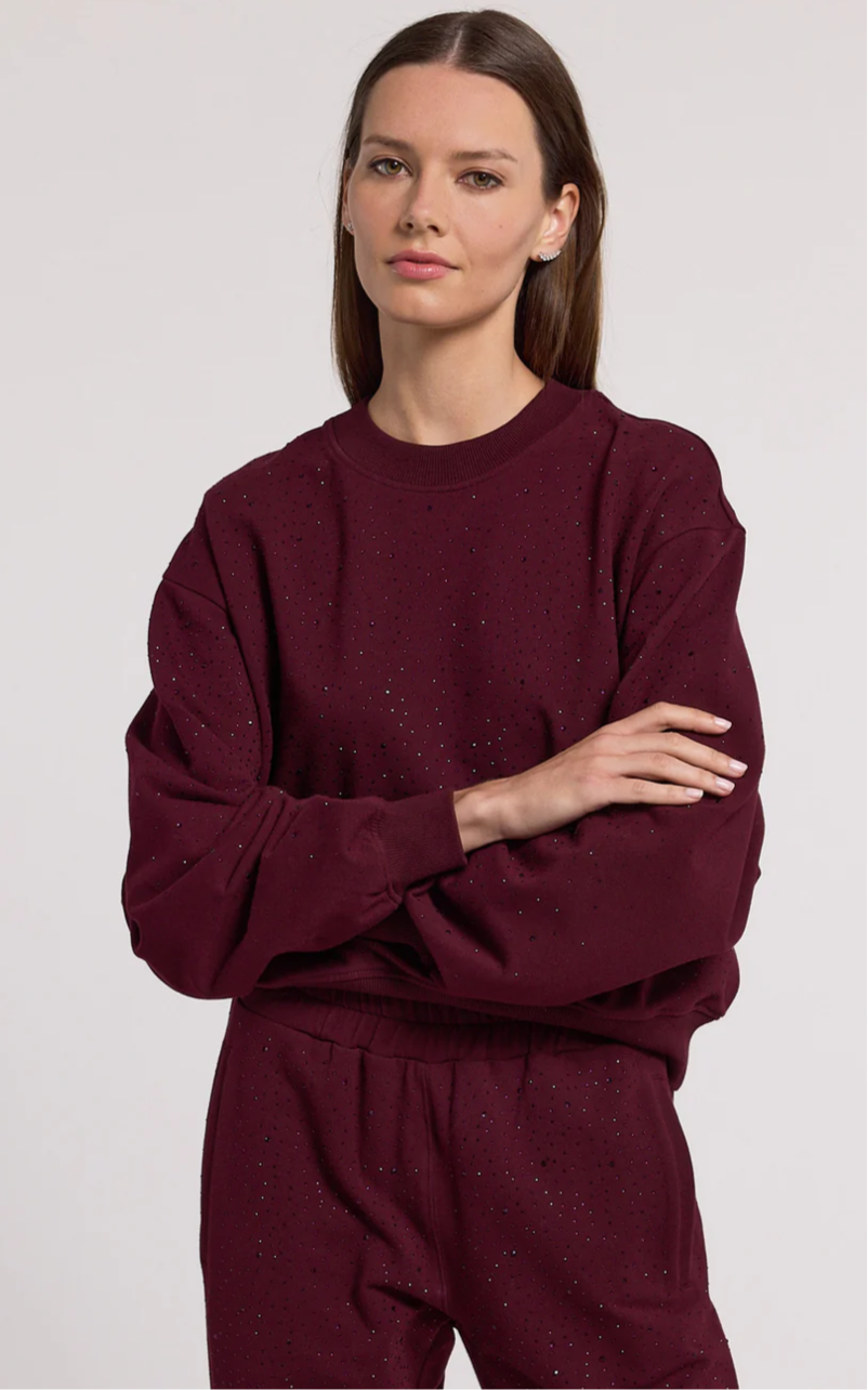 Colby compact crystal sweatshirt